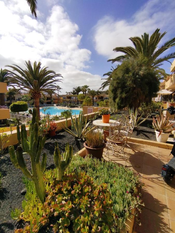 Casa Dan "Residencial Las Dunas" 科拉雷侯 外观 照片